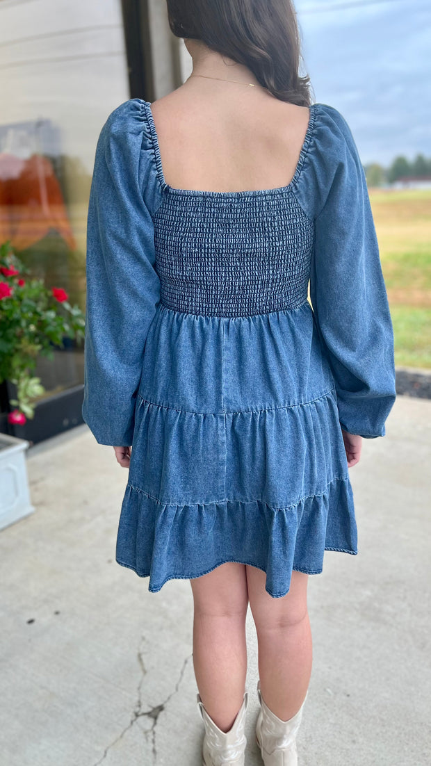 Denim Darling Dress