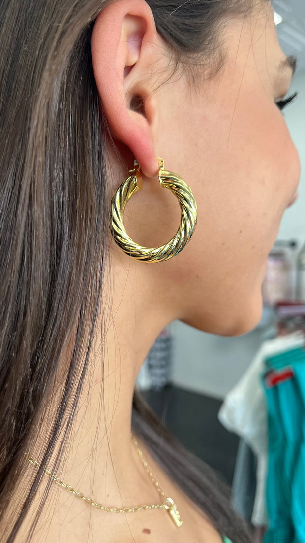 Aslen Earrings